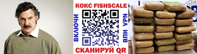 даркнет клад  Павловск  Кокаин FishScale 