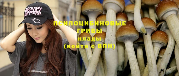 дурь Волоколамск