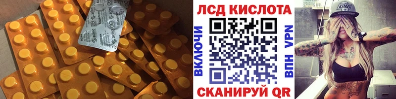 как найти закладки  Павловск  Лсд 25 экстази кислота 