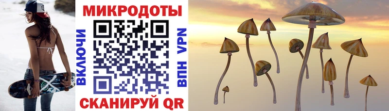 Галлюциногенные грибы Cubensis  Павловск 